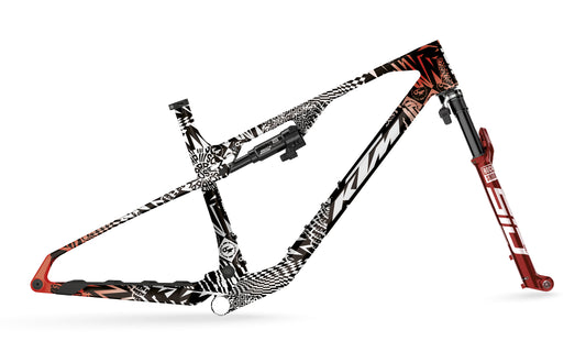 KTM Bikes Frame and parts