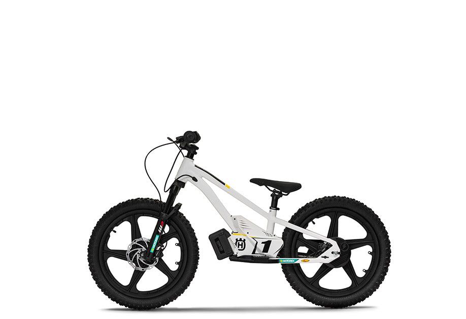 STACYC EE 1.20  2023