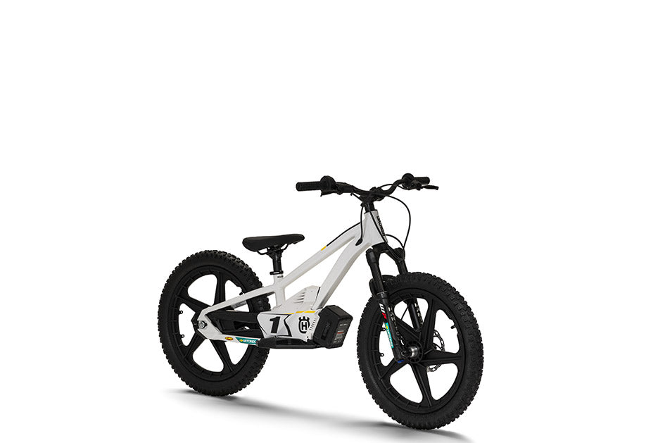 STACYC EE 1.20  2023