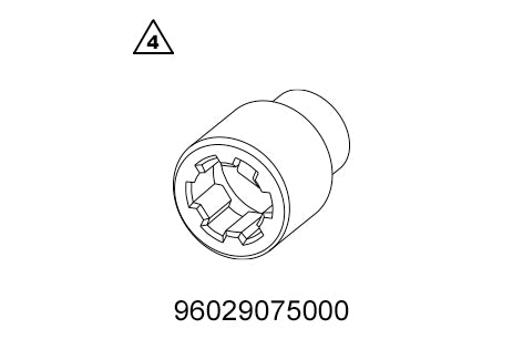 Holding nut