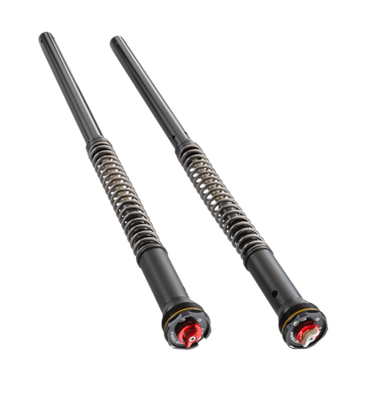 APEX PRO 6500 Cartridge 790/890 DUKE 18-25 & 801 SVARTPILEN/VITPILEN 24-25