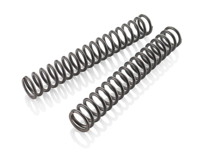 Fork spring set RC 8C	2022