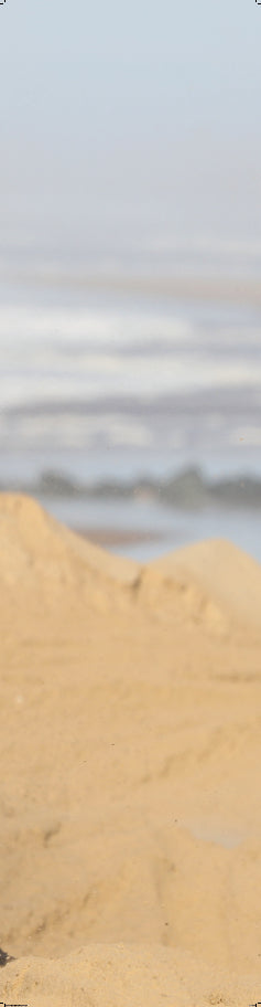 ENDURO 01 2020 ICU Image